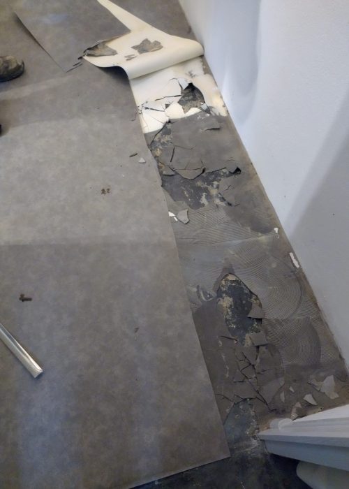 IMG_20221201_101526166