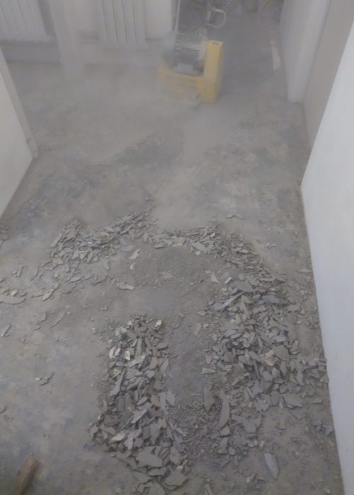 IMG_20221201_155613640