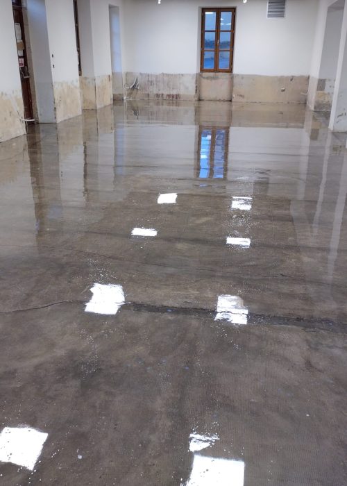 IMG_20231128_080926508