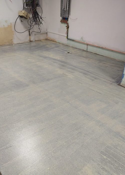 IMG_20231128_082006135