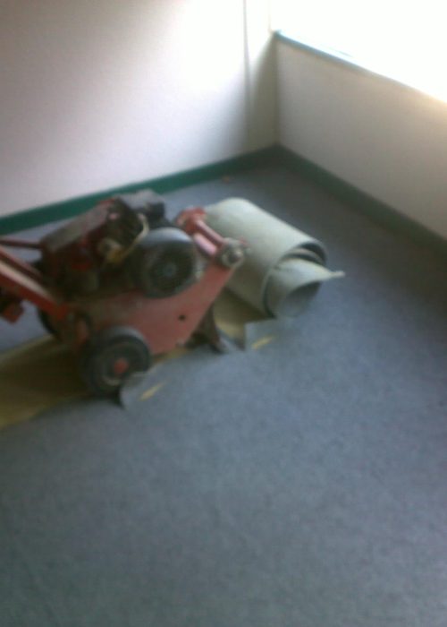 saladerie tarbes (40)